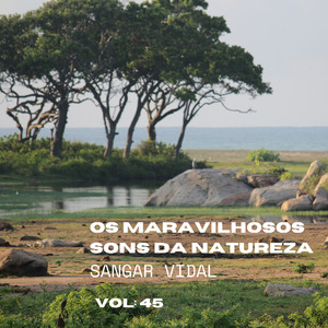 Ressonância da Mata