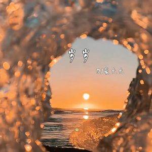 岁岁(DJ版)