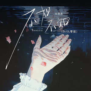 不如不如 (DJ九零版)