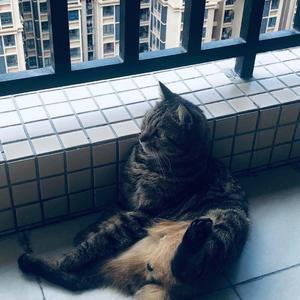 阴天快乐