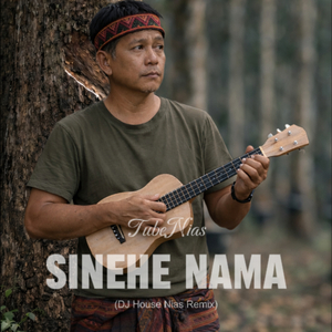 SINEHE NAMA (DJ House Nias Remix)