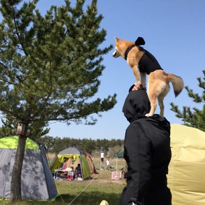 クジキリザンマイ！ (2025 Ver.)