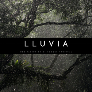 Paraíso Con Lluvia