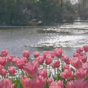 长亭雨外（翻自 国风堂尘ah）