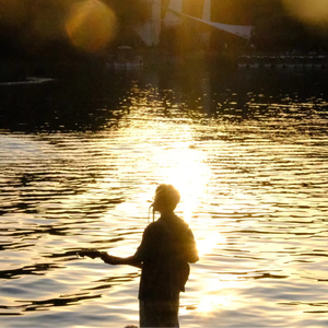 Osmanthus Spring (桂花树之春)