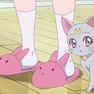 我唱情歌给你听（翻自 神兮）