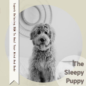 Ella's Afternoon Recipe