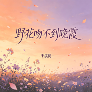 野花吻不到晚霞