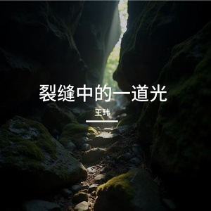 《裂缝中的一道光》王玮即兴小提琴