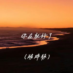 你在就好了（破碎版）