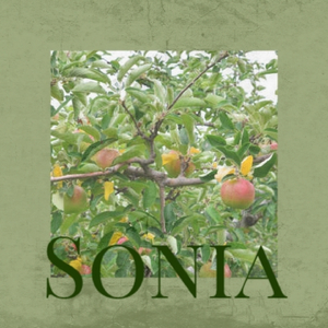 Sonia