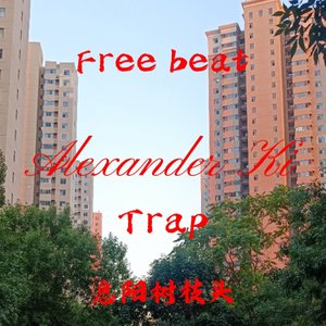 【免费】失真 x 复古 x Trap“息阳树枝头” 伴奏版