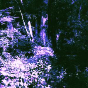 The Rain Crashes Down Over Me