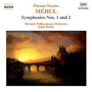 Symphony No. 1 G Minor: I. Allegro