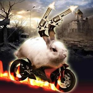 Não Ande a Noite No Adopt Me