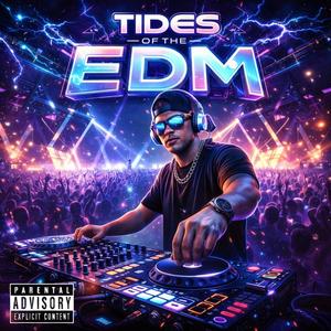 Pillaging Pirates (EDM)