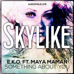 Something About You (Skylike Remix)
