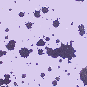 Spinlock (Original Mix)