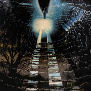 Sexual Desire Vs Enligtenment