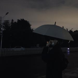 个人世界