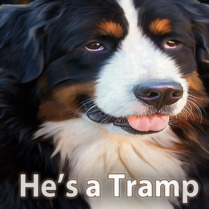 He’s a Tramp (Remastered)