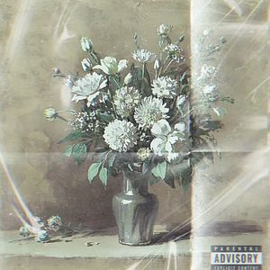 成为你过气的上世纪偶像