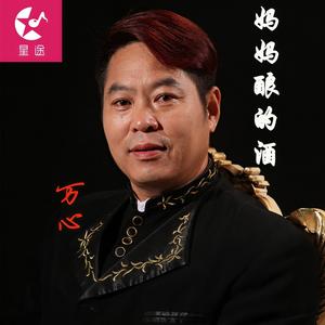 妈妈酿的酒 (DJ黑狼 Remix)