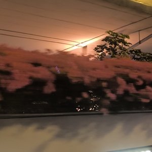 我假装不想你，连输入法都不同意