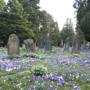 疤/Buried here ft.Luv D