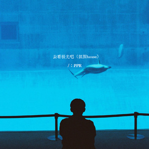 去看极光吧（氛围house）