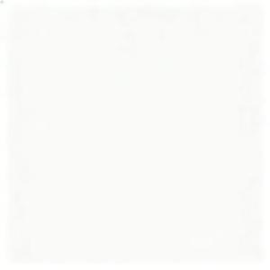 无人的岛 (Xix祁铄 & 吴瑞斯 Remix)