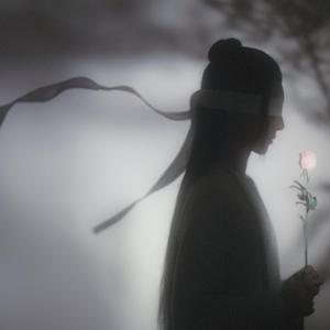 琵琶二胡 魔道祖师义城篇 广播剧【盲】