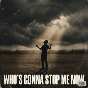 WHO'S GONNA STOP ME NOW