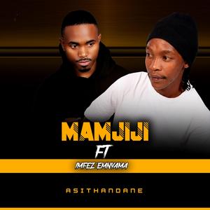 Mamjiji_Asithandane (feat. Imfezemnyama)