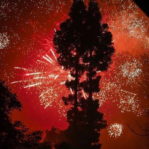 春风十里报新年