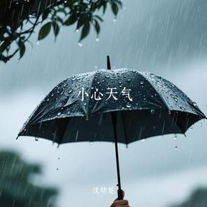 小心天气 (Cover 流浪声乐生)
