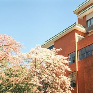 《磁带里的旧时光》