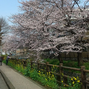 君を想って遥かな世界へ