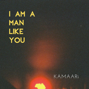 I am a Man Like You