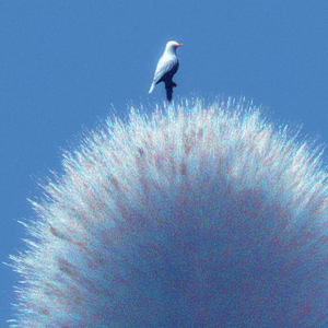 miss u so (feat. 남기준)