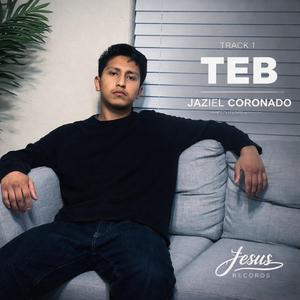 TEB