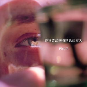 待我苦涩的眼睛长出春天