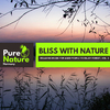 Energetic Nature Atmosphere Sounds - Hushed Melody of Night Prairies