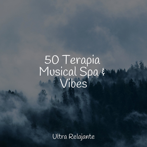Meditación De Marea Lapeante