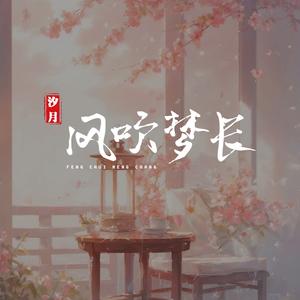 风吹梦长 （DJ沈念版伴奏）