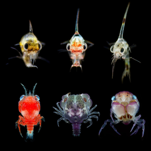 All We Know ( ESUNLON Remix Demo 2)