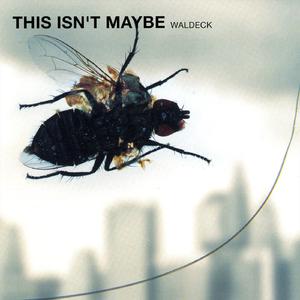 This Isn't Maybe Lofly