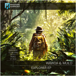 Explorer (Peres Remix)