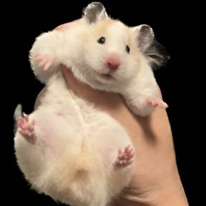 我想让你快滚远点