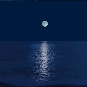 0.8X lllusionary Daytime 0.8X